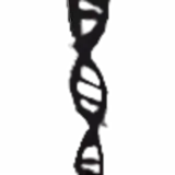 DNA Sword