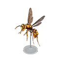 wasp model