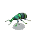 blue weevil beetle model