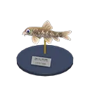 nibble fish model