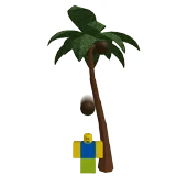 Coconut