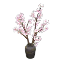 cherry-blossom branches