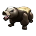 Honey Badger