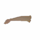 Vampire Bone