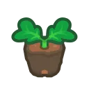 carrot start