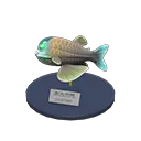 barreleye model