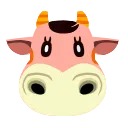 Norma