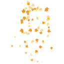 Fall