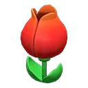 tulip surprise box