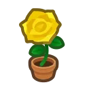 yellow-rose plant