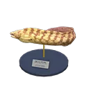moray eel model