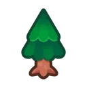 cedar tree