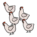 Chickens