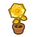 gold-rose plant