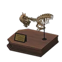 pachy skull