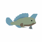 Handfish