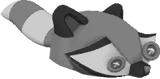 Raccoon Hat