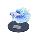 betta model