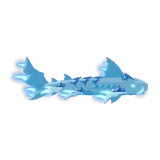 Icebeard Shark