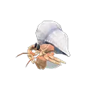 hermit crab model