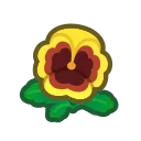 yellow pansies