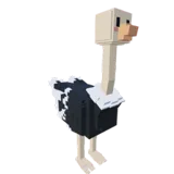 Ostrich