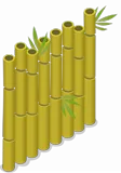Bamboo Fence