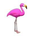 Mr. Flamingo