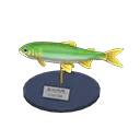 sweetfish model