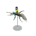 tiger beetle model