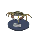 mitten crab model