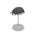 pill bug model