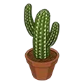 Beyond Be-leaf Cactus