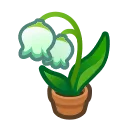 Lily of the Valley