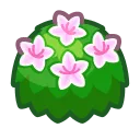 white-azalea bush