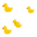 Ducks