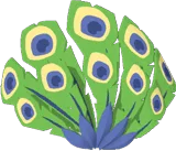 Peacock Feathers