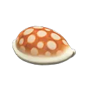 shell stool
