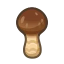 elegant mushroom