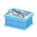 fish container