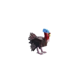Turkey Bird
