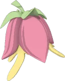 Royal Garden Bundle