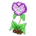 Friendly Face Flower