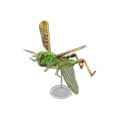 migratory locust model