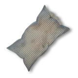 Crusty Old Pillow
