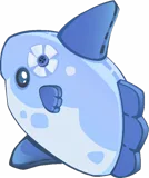 Serene Sunfish Collection