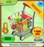 Grocery Shopping Cart
