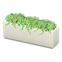 plant partition