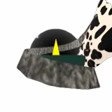 Ratio Capsule