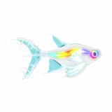 X-Ray Tetra